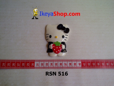 rsn 516  large2